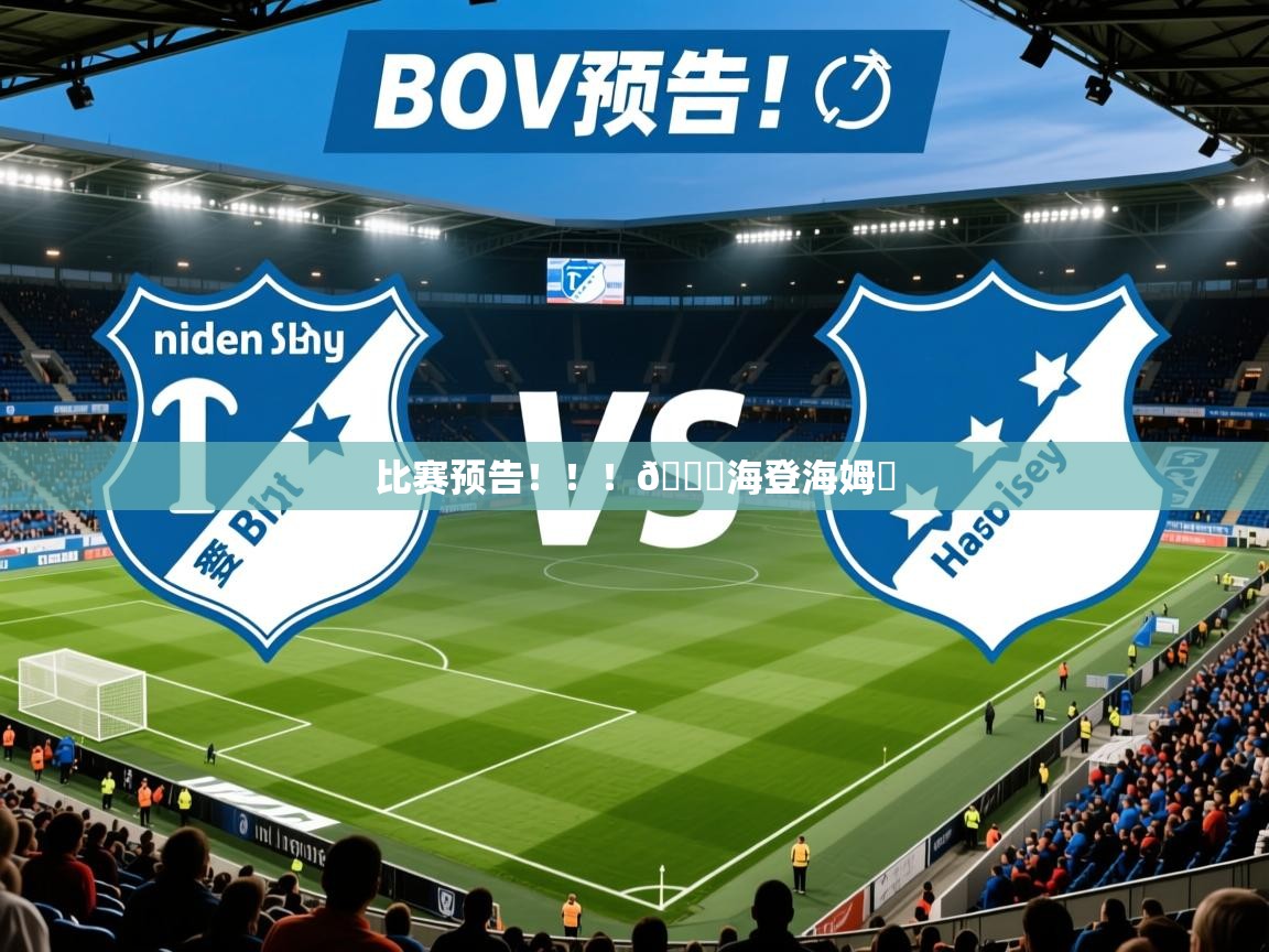 2025澳客体育平台比赛预告！！！🆚海登海姆⏰  第1张