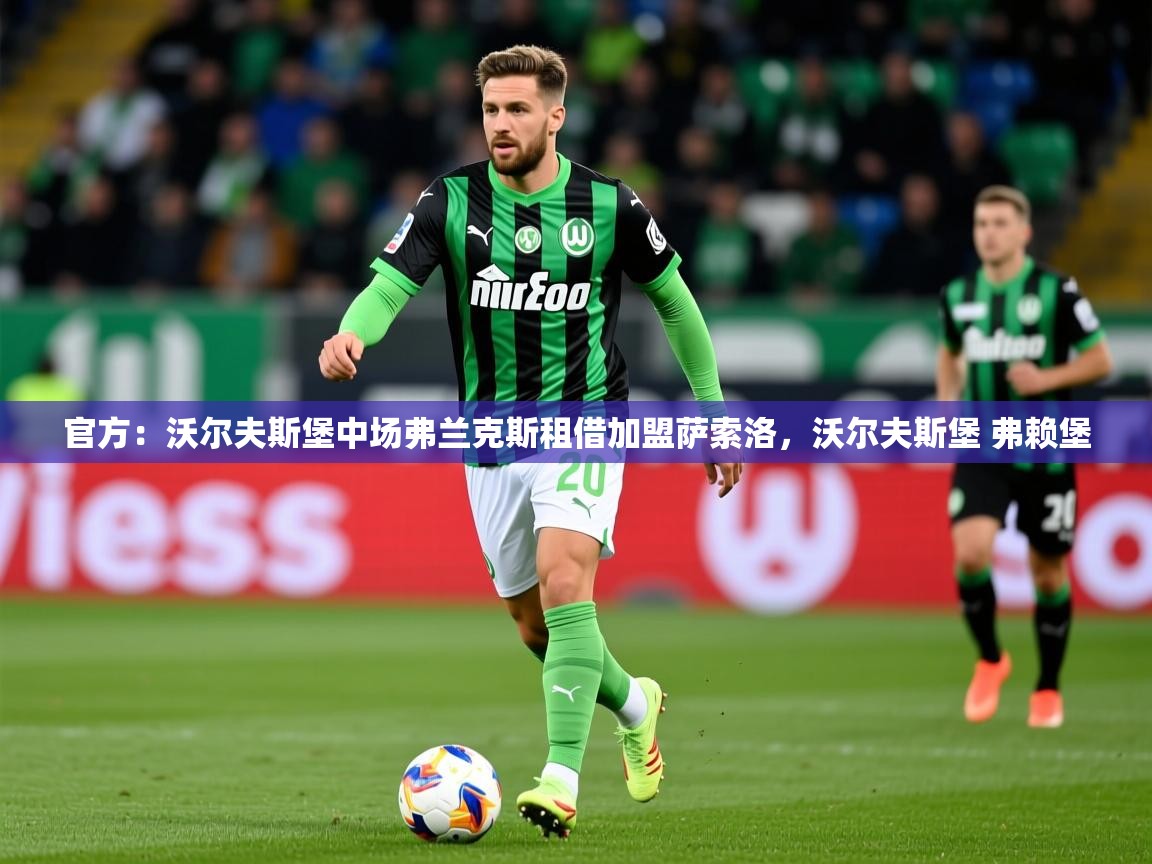 2025澳客体育彩票网站官方：沃尔夫斯堡中场弗兰克斯租借加盟萨索洛，沃尔夫斯堡 弗赖堡  第2张