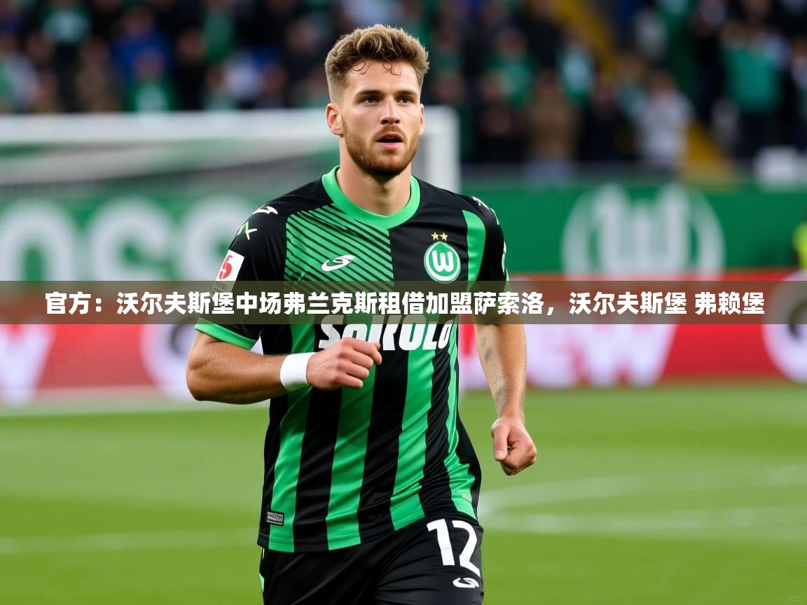 2025澳客体育彩票网站官方：沃尔夫斯堡中场弗兰克斯租借加盟萨索洛，沃尔夫斯堡 弗赖堡  第3张