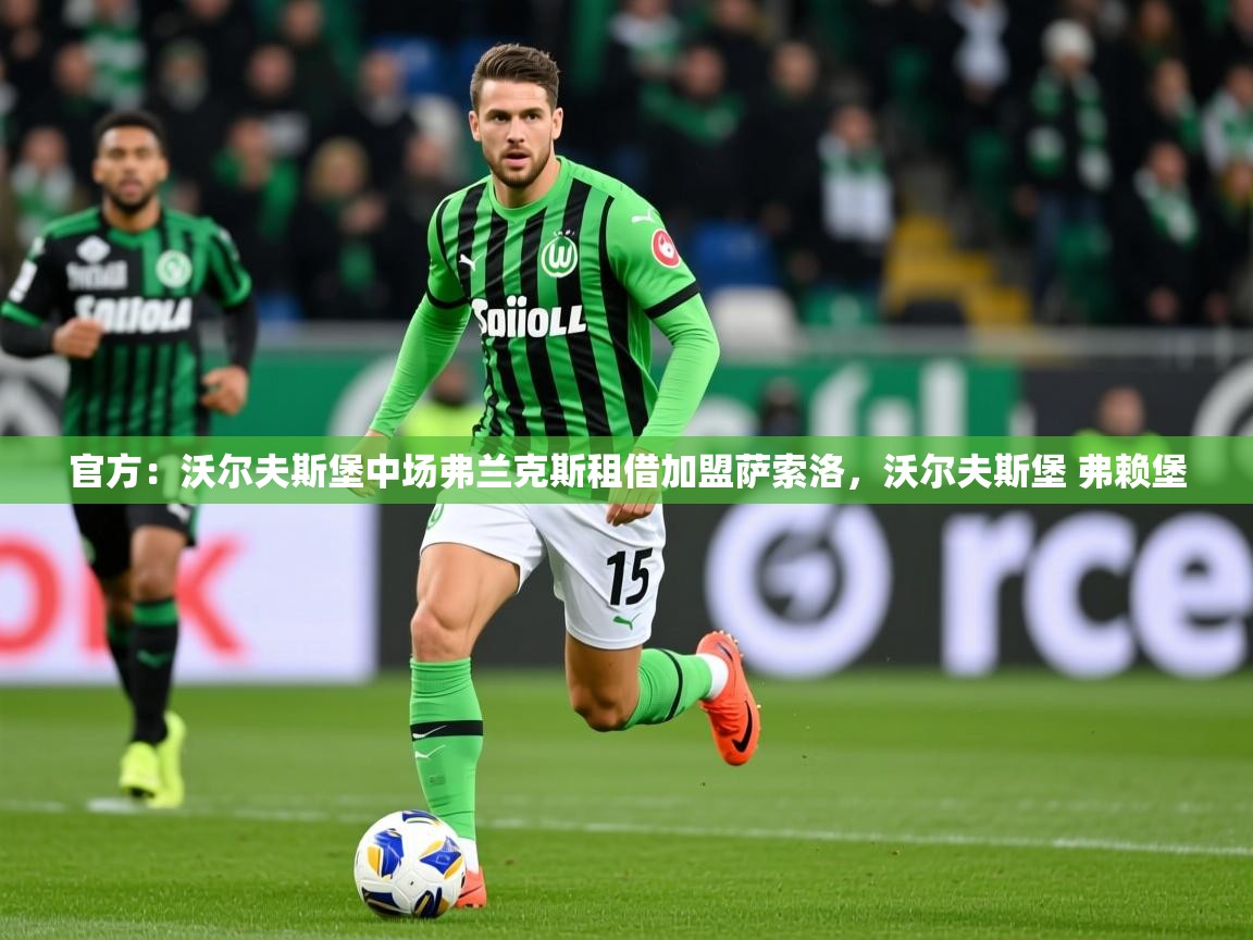 2025澳客体育彩票网站官方：沃尔夫斯堡中场弗兰克斯租借加盟萨索洛，沃尔夫斯堡 弗赖堡  第4张
