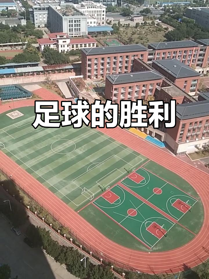 历史性胜利令球场沸腾，体育狂热横扫全场的简单介绍