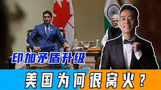 摩尔多瓦选手再度登顶　夺得多面金牌